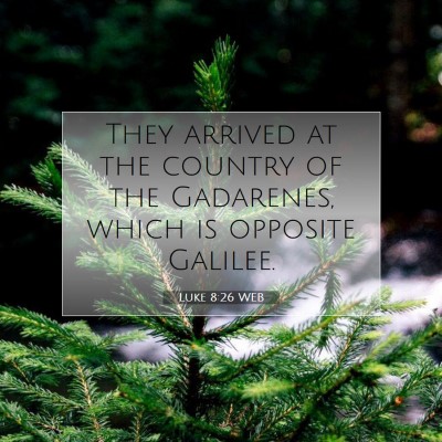 Picture 07 - Luke 8:26 WEB - They arrived at the country of the Gadarenes, - Bible Verse Picture