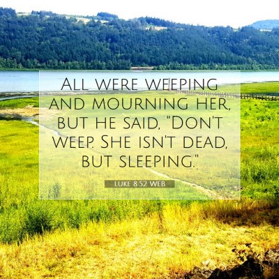 Picture 07 - Luke 8:52 WEB - All were weeping and mourning her, but he said, - Bible Verse Picture