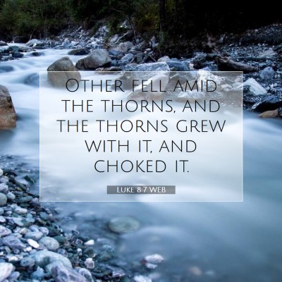 Picture 07 - Luke 8:7 WEB - Other fell amid the thorns, and the thorns grew - Bible Verse Picture