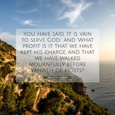 Picture 07 - Malachi 3:14 WEB - You have said, 'It is vain to serve God;' and - Bible Verse Picture