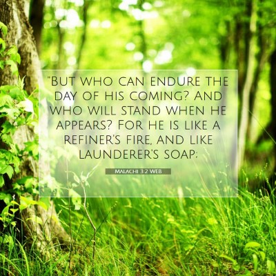 Picture 07 - Malachi 3:2 WEB - 