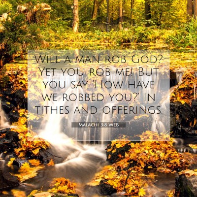 Picture 07 - Malachi 3:8 WEB - Will a man rob God? Yet you rob me! But you say, - Bible Verse Picture