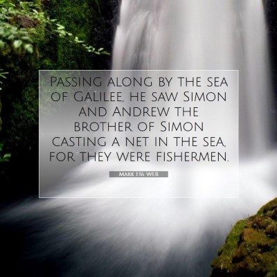 Picture 07 - Mark 1:16 WEB - Passing along by the sea of Galilee, he saw Simon - Bible Verse Picture