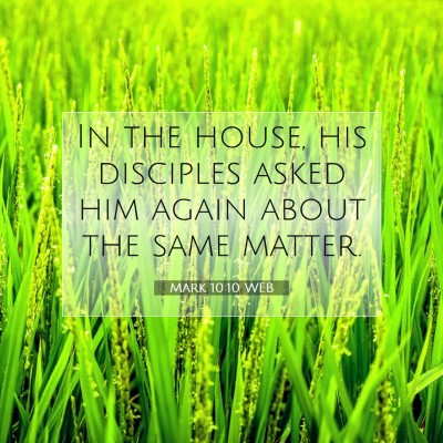 Picture 07 - Mark 10:10 WEB - In the house, his disciples asked him again about - Bible Verse Picture