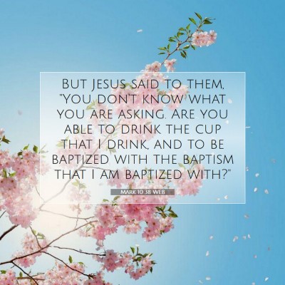 Picture 07 - Mark 10:38 WEB - But Jesus said to them, 