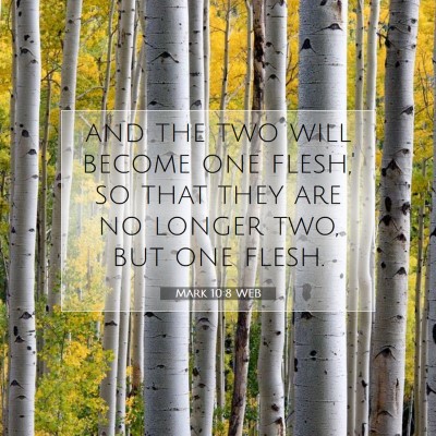 Picture 07 - Mark 10:8 WEB - and the two will become one flesh,' so that they - Bible Verse Picture