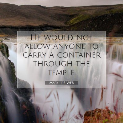 Picture 07 - Mark 11:16 WEB - He would not allow anyone to carry a container - Bible Verse Picture