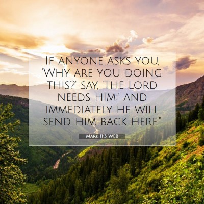 Picture 07 - Mark 11:3 WEB - If anyone asks you, 'Why are you doing this?' - Bible Verse Picture
