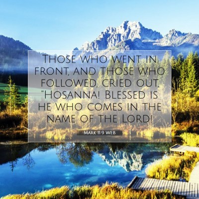 Picture 07 - Mark 11:9 WEB - Those who went in front, and those who followed, - Bible Verse Picture