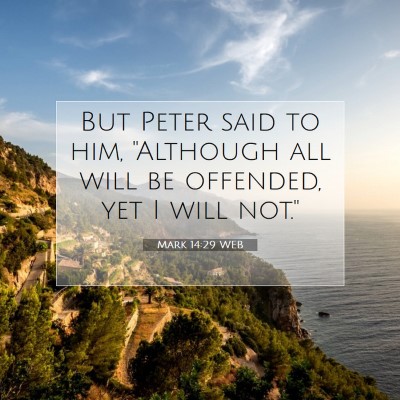 Picture 07 - Mark 14:29 WEB - But Peter said to him, 
