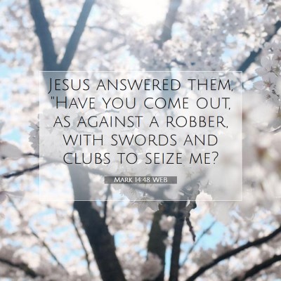 Picture 07 - Mark 14:48 WEB - Jesus answered them, 