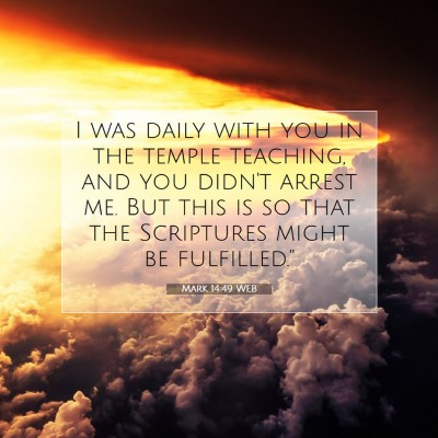 Picture 07 - Mark 14:49 WEB - I was daily with you in the temple teaching, and - Bible Verse Picture