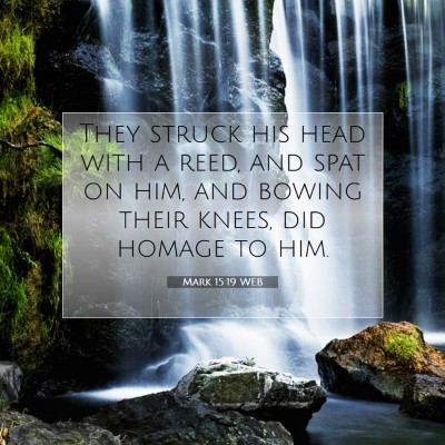 Picture 07 - Mark 15:19 WEB - They struck his head with a reed, and spat on - Bible Verse Picture