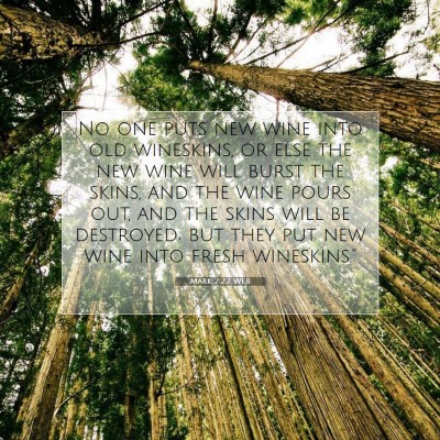 Picture 07 - Mark 2:22 WEB - No one puts new wine into old wineskins, or else - Bible Verse Picture