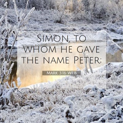Picture 07 - Mark 3:16 WEB - Simon, to whom he gave the name - Bible Verse Picture