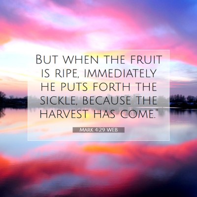 Picture 07 - Mark 4:29 WEB - But when the fruit is ripe, immediately he puts - Bible Verse Picture