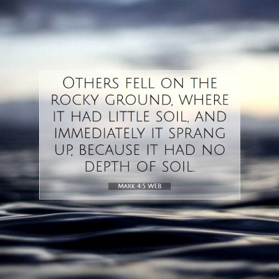 Picture 07 - Mark 4:5 WEB - Others fell on the rocky ground, where it had - Bible Verse Picture