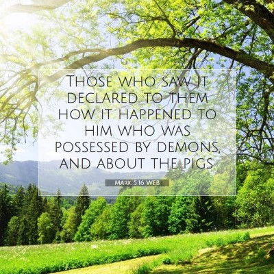 Picture 07 - Mark 5:16 WEB - Those who saw it declared to them how it happened - Bible Verse Picture