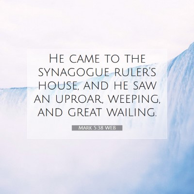 Picture 07 - Mark 5:38 WEB - He came to the synagogue ruler's house, and he - Bible Verse Picture