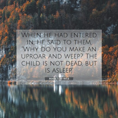 Picture 07 - Mark 5:39 WEB - When he had entered in, he said to them, 
