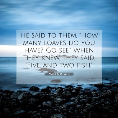 Picture 07 - Mark 6:38 WEB - He said to them, 