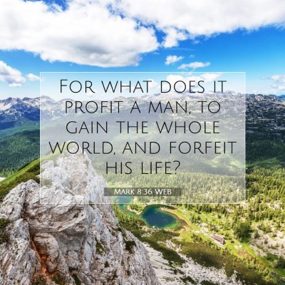 Picture 07 - Mark 8:36 WEB - For what does it profit a man, to gain the whole - Bible Verse Picture