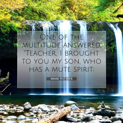 Picture 07 - Mark 9:17 WEB - One of the multitude answered, 