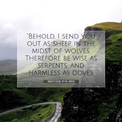 Picture 07 - Matthew 10:16 WEB - 