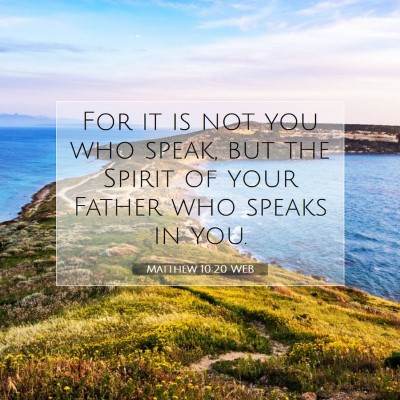 Picture 07 - Matthew 10:20 WEB - For it is not you who speak, but the Spirit of - Bible Verse Picture