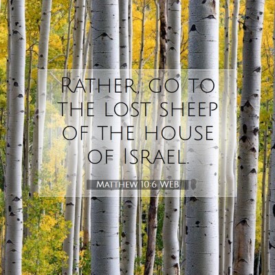 Picture 07 - Matthew 10:6 WEB - Rather, go to the lost sheep of the house of - Bible Verse Picture