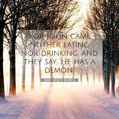 Picture 07 - Matthew 11:18 WEB - For John came neither eating nor drinking, and - Bible Verse Picture