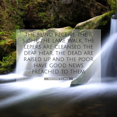 Picture 07 - Matthew 11:5 WEB - the blind receive their sight, the lame walk, the - Bible Verse Picture