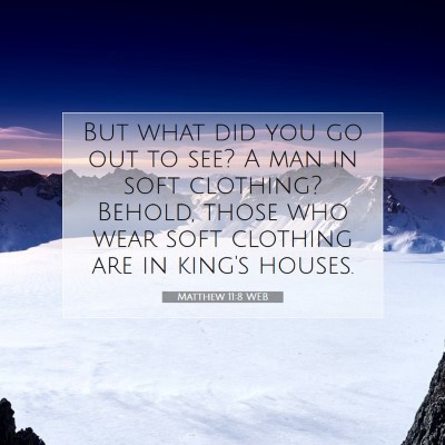 Picture 07 - Matthew 11:8 WEB - But what did you go out to see? A man in soft - Bible Verse Picture