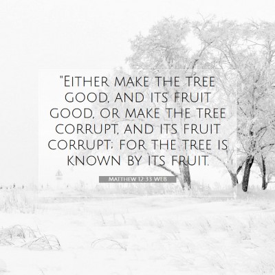 Picture 07 - Matthew 12:33 WEB - 