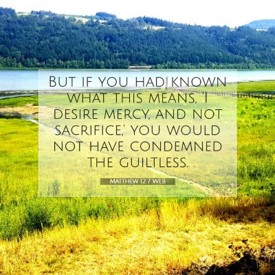Picture 07 - Matthew 12:7 WEB - But if you had known what this means, 'I desire - Bible Verse Picture