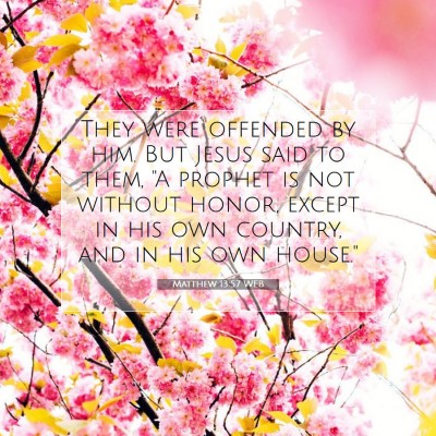 Picture 07 - Matthew 13:57 WEB - They were offended by him. But Jesus said to - Bible Verse Picture