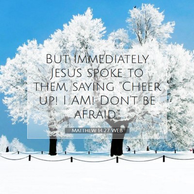 Picture 07 - Matthew 14:27 WEB - But immediately Jesus spoke to them, saying - Bible Verse Picture