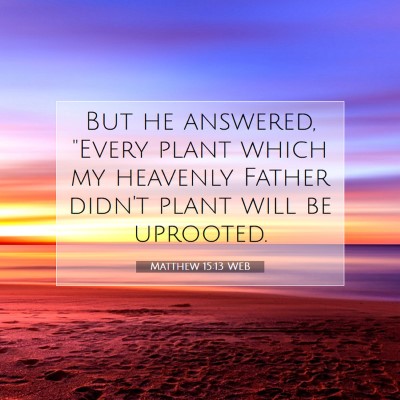 Picture 07 - Matthew 15:13 WEB - But he answered, 