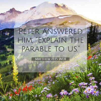 Picture 07 - Matthew 15:15 WEB - Peter answered him, 