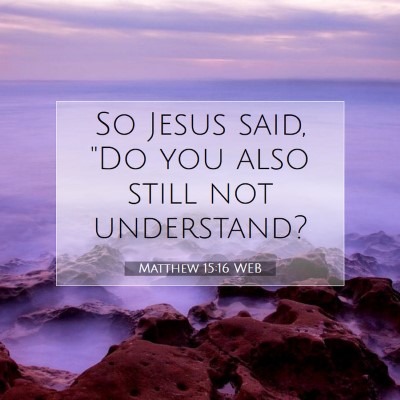 Picture 07 - Matthew 15:16 WEB - So Jesus said, 