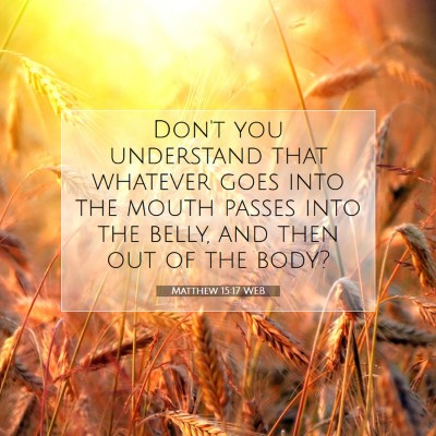Picture 07 - Matthew 15:17 WEB - Don't you understand that whatever goes into the - Bible Verse Picture