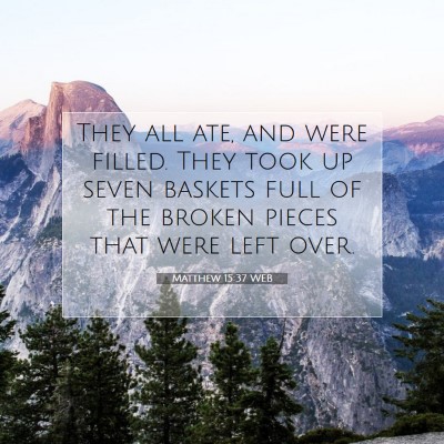 Picture 07 - Matthew 15:37 WEB - They all ate, and were filled. They took up seven - Bible Verse Picture