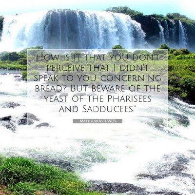 Picture 07 - Matthew 16:11 WEB - How is it that you don't perceive that I didn't - Bible Verse Picture