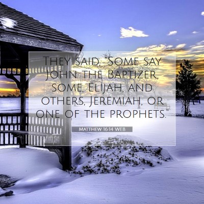 Picture 07 - Matthew 16:14 WEB - They said, 