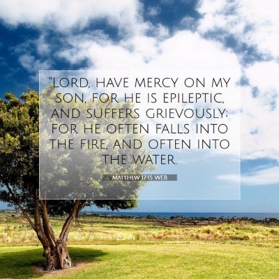 Picture 07 - Matthew 17:15 WEB - 