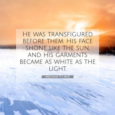 Picture 07 - Matthew 17:2 WEB - He was transfigured before them. His face shone - Bible Verse Picture