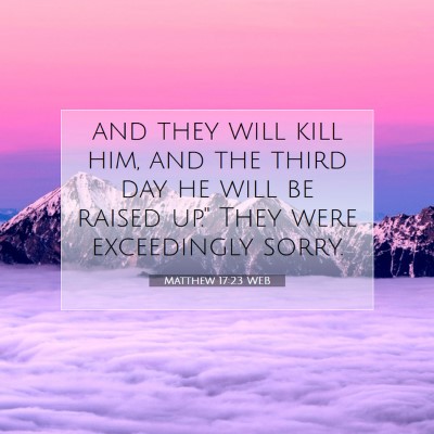 Picture 07 - Matthew 17:23 WEB - and they will kill him, and the third day he will - Bible Verse Picture