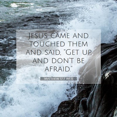 Picture 07 - Matthew 17:7 WEB - Jesus came and touched them and said, 