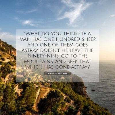 Picture 07 - Matthew 18:12 WEB - 
