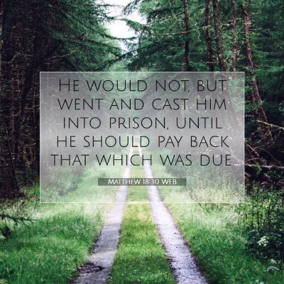Picture 07 - Matthew 18:30 WEB - He would not, but went and cast him into prison, - Bible Verse Picture